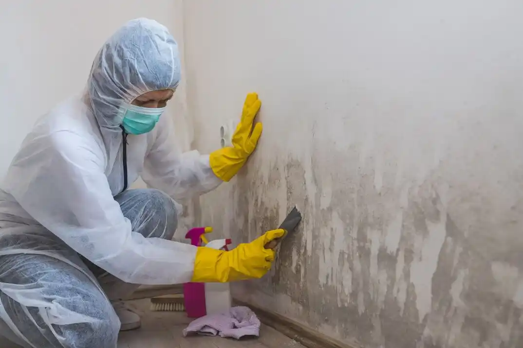 water damage restoration service Vinewood
